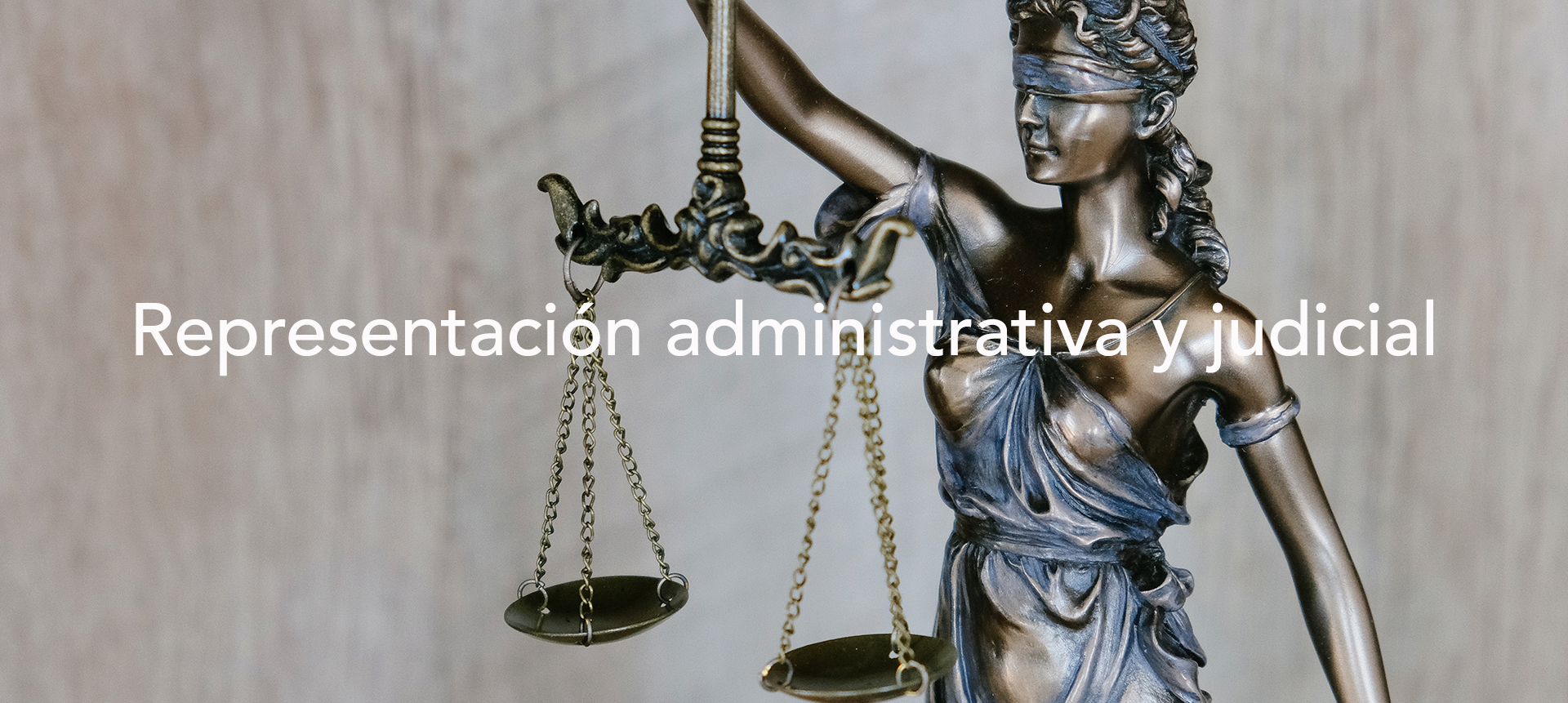 Representación administrativa y judicial